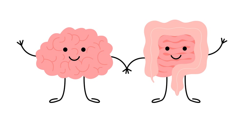 Gut Brain Axis Gut Brain Axis