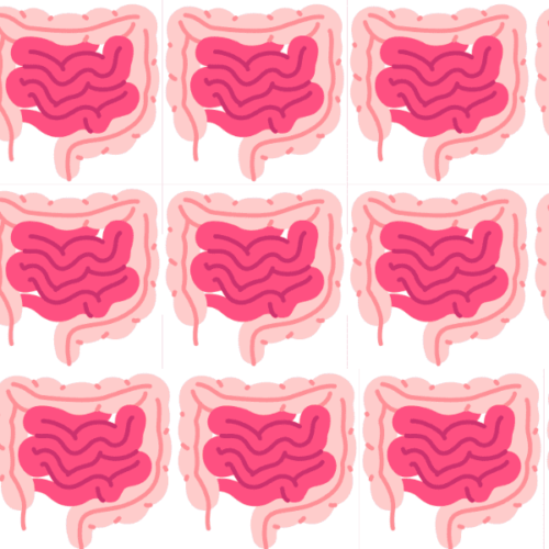 Gut Health Statistics US