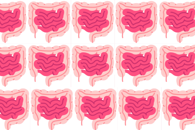 Gut Health Statistics US