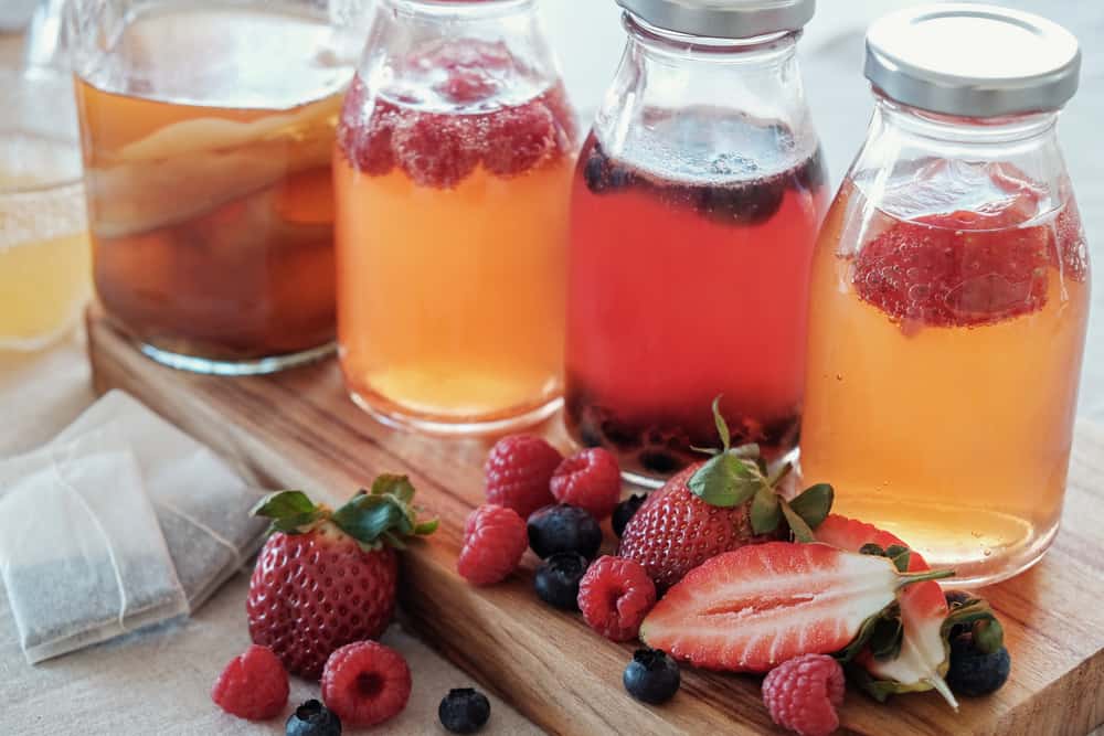 Kombucha Kombucha