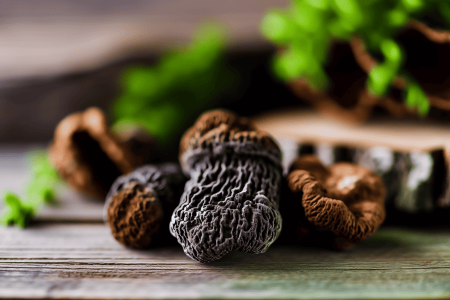 Chaga Mushrooms