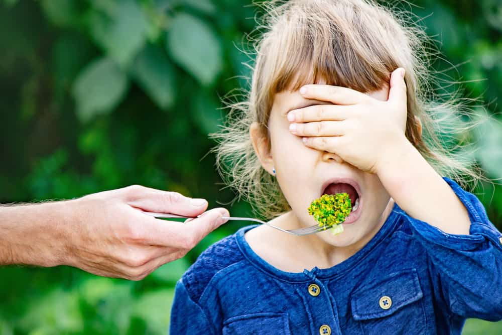 Healthy Snacks for Toddlers