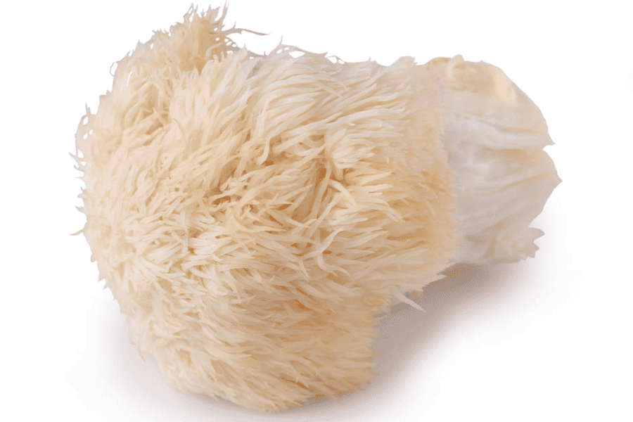 Lion's Mane Mushrooms