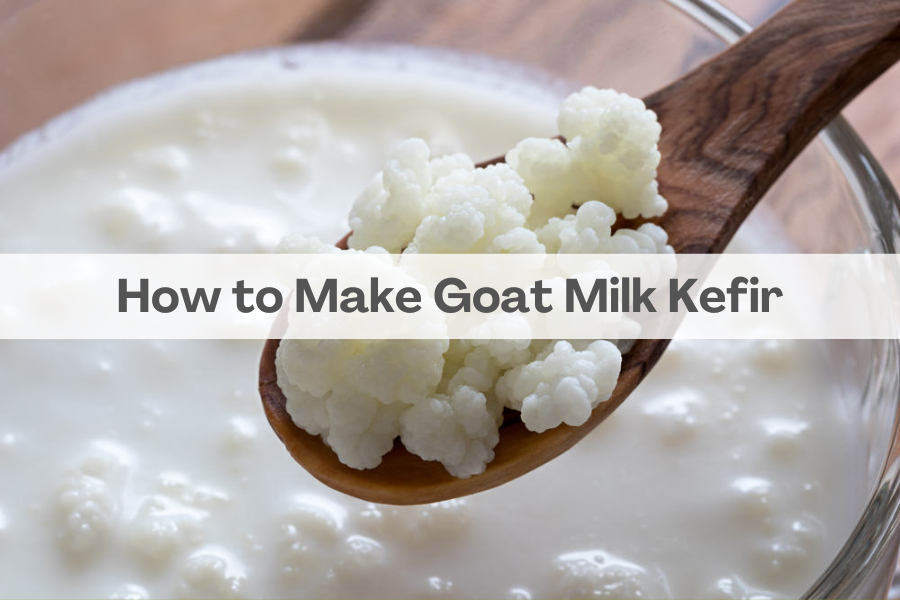How to Make Goat Milk Kefir