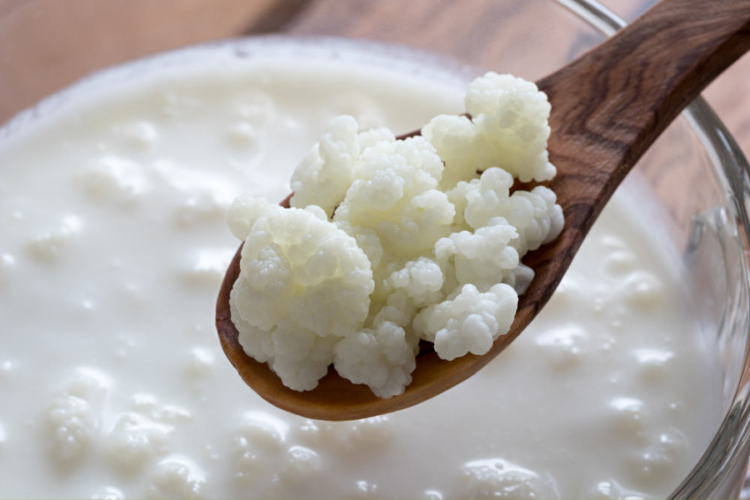 How to Make Kefir