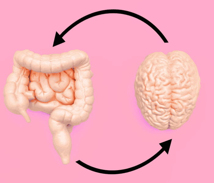 Gut-Brain Axis Explained: Unlock Your Body’s Brilliant Neural Symphony